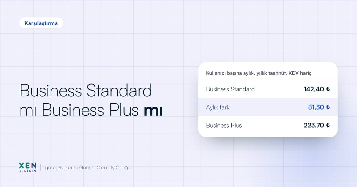 Google Workspace Business Standard ve Business Plus fiyat karşılaştırması